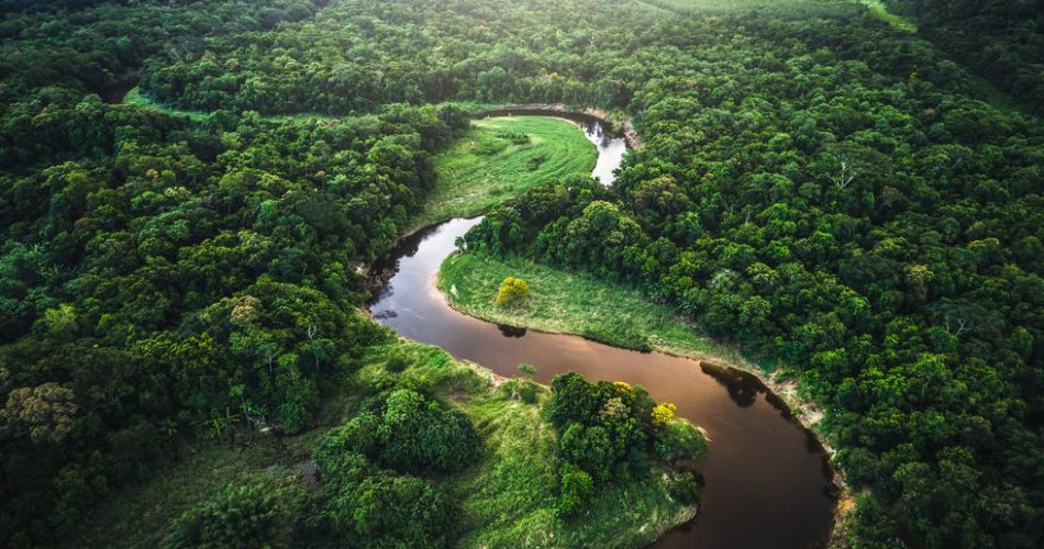 Selva Amazonica Impacto del narcotrafico en el Medio Ambiente